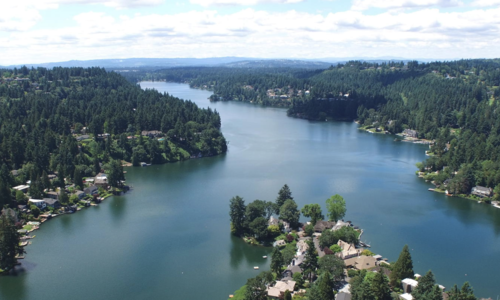 A Taste of Lake Oswego's Vibrant Culinary…