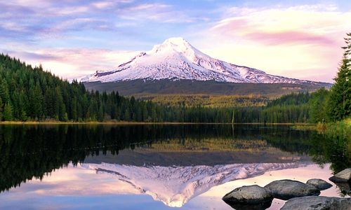 Why Summer is the Perfect Time to Move to…