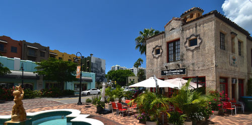 Discover Sarasota