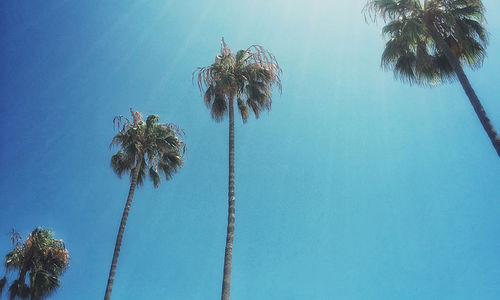 Climate A Factor When Considering A Move