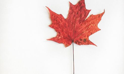 Early Fall May Be The Best Time To Buy
