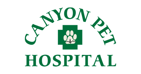 Canyon Pet Hospital Flagstaff, AZ