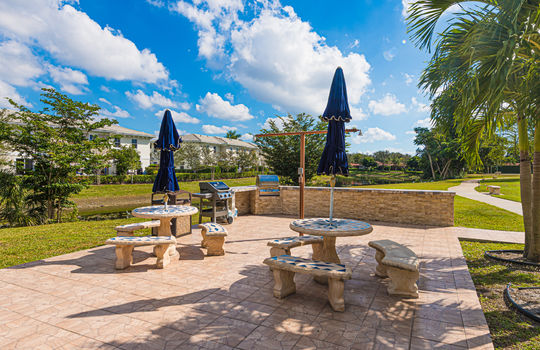 Brokenwoods#303065-8