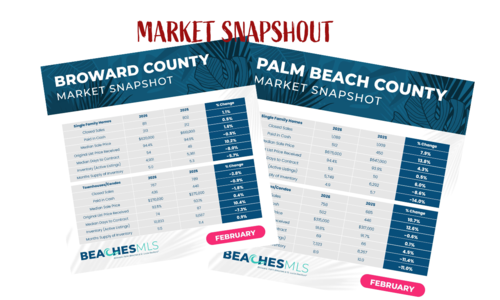 Market Report - February 2026