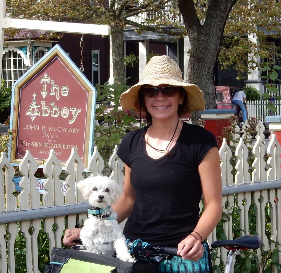 PET FRIENDLY ST AUGUSTINE