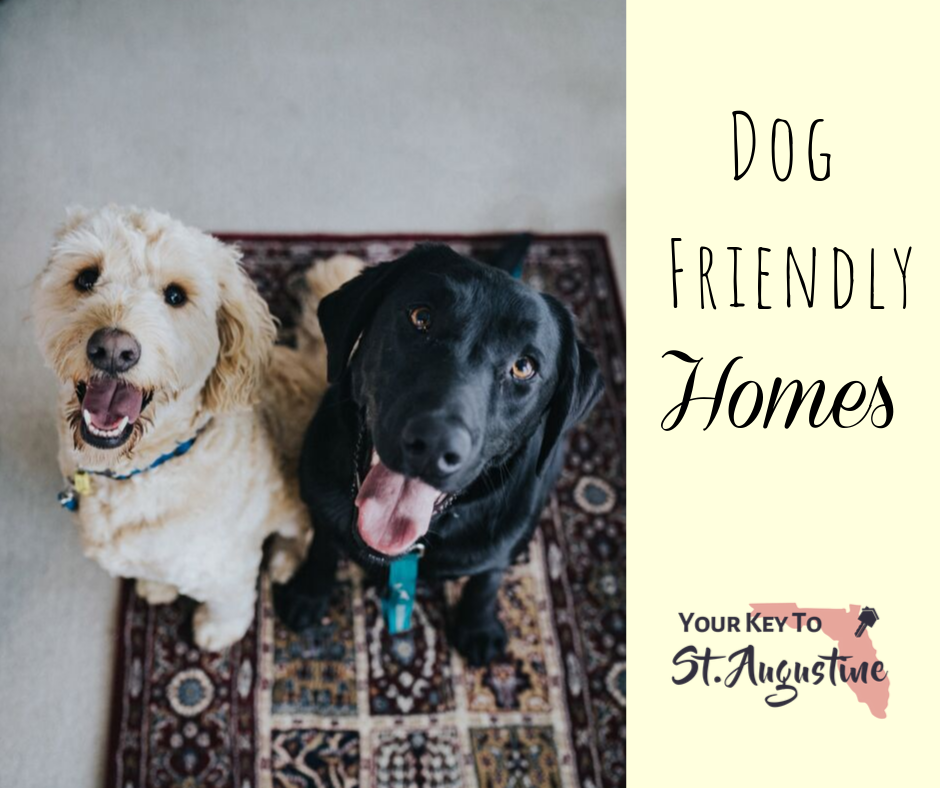 Pet Friendly St Augustine Kim Devlin Team