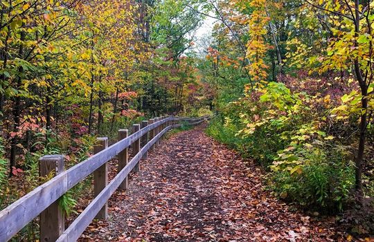 1ed3734c1a288ea7553b4628f1f11dfe_-ontario-regional-municipality-of-halton-burlington-twelve-mile-trailhtml