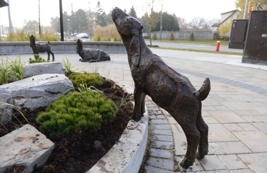 77b0647f4b1aafe971244ec38e0e_Gallery