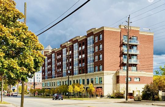 AldershotBurlingtonOntariocopyright2019jenwarren02