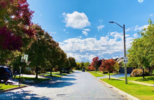 AldershotBurlingtonOntariocopyright2019jenwarren03