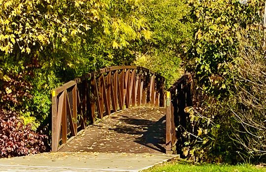 AldershotBurlingtonOntariocopyright2019jenwarren07