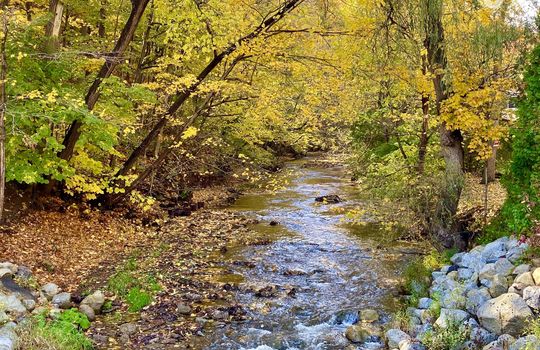 AldershotBurlingtonOntariocopyright2019jenwarren08