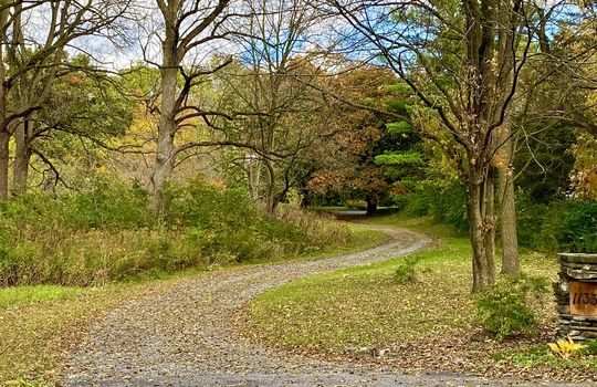 AldershotBurlingtonOntariocopyright2019jenwarren15