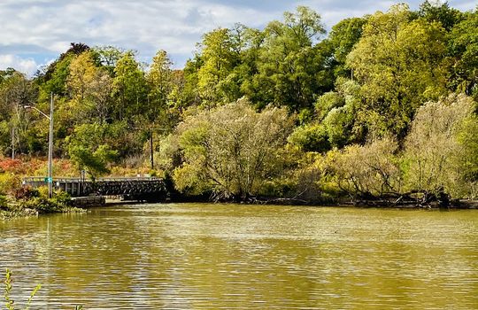 AldershotBurlingtonOntariocopyright2019jenwarren18