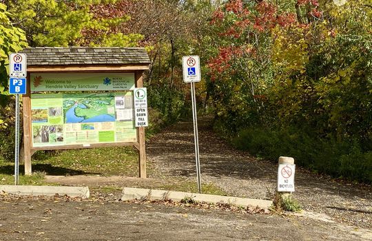 AldershotBurlingtonOntariocopyright2019jenwarren19