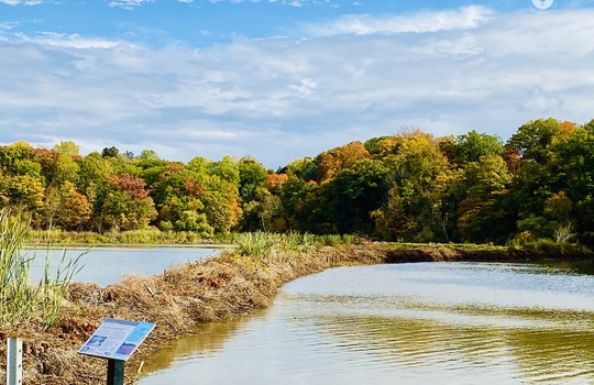 AldershotBurlingtonOntariocopyright2019jenwarren20