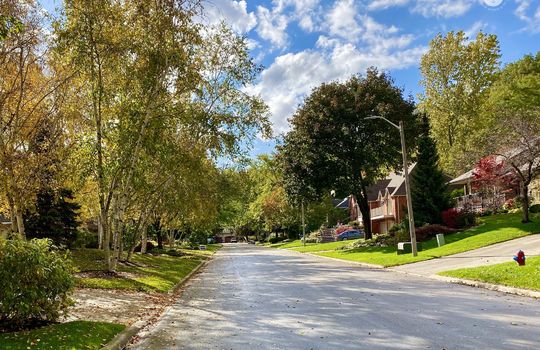 AldershotBurlingtonOntariocopyright2019jenwarren31