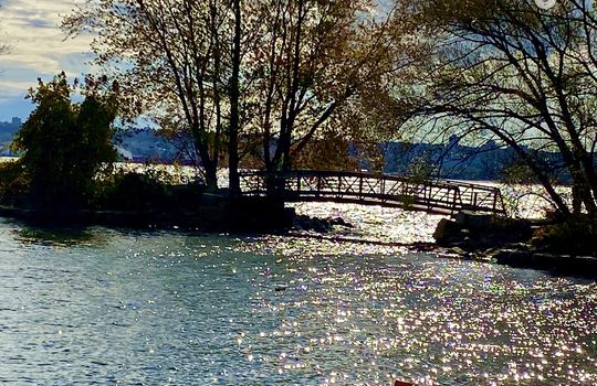 AldershotBurlingtonOntariocopyright2019jenwarren33