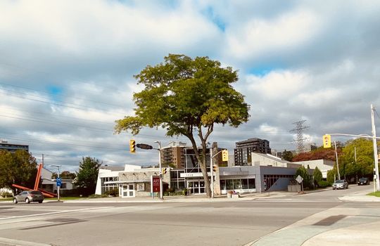 DowntownBurlingtonOntariocopyright2019JenWarren26