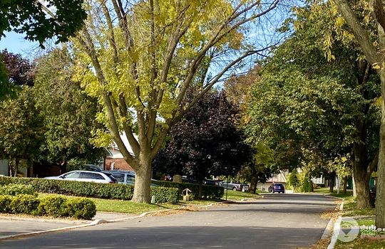 DynesBurlingtonOntario-copyright-JenWarren06