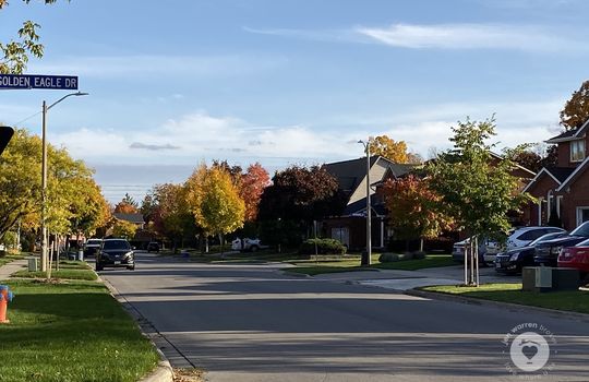 HeadonforestBurlingtonOntario-copyright-JenWarren02