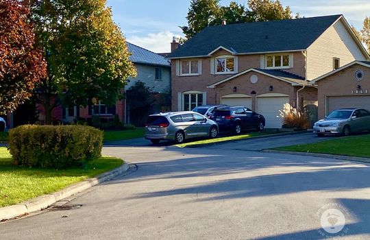 HeadonforestBurlingtonOntario-copyright-JenWarren03