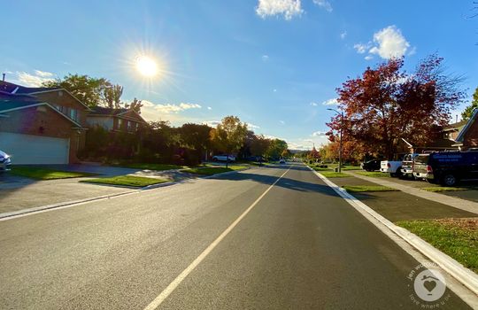 HeadonforestBurlingtonOntario-copyright-JenWarren05