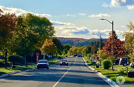 HeadonforestBurlingtonOntario-copyright-JenWarren06