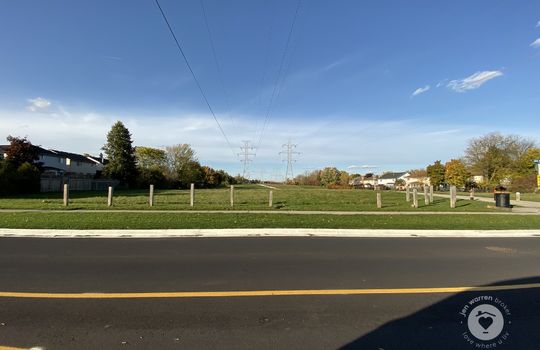 HeadonforestBurlingtonOntario-copyright-JenWarren09