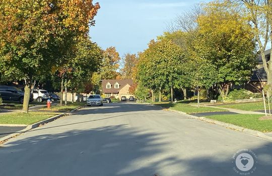 HeadonforestBurlingtonOntario-copyright-JenWarren11