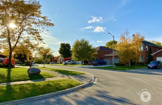 HeadonforestBurlingtonOntario-copyright-JenWarren13