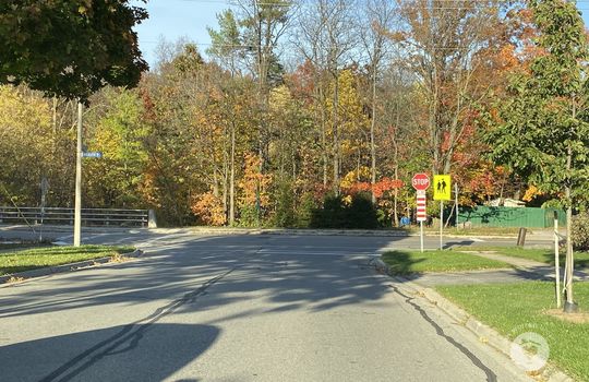 HeadonforestBurlingtonOntario-copyright-JenWarren14