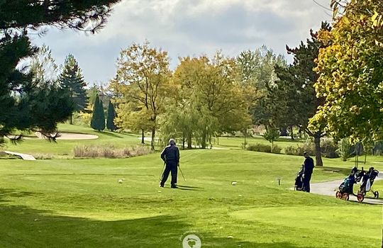 MillcroftBurlingtonOntariocopyright2019JenWarren09