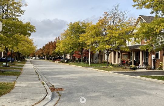 OrchardBurlingtonOntariocopyright2019JenWarren03