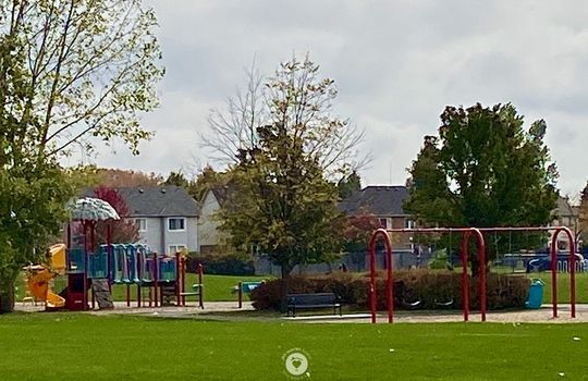 OrchardBurlingtonOntariocopyright2019JenWarren04