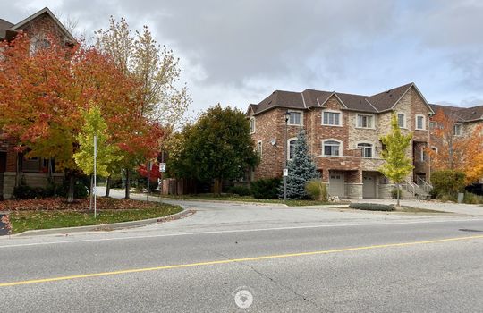 OrchardBurlingtonOntariocopyright2019JenWarren06