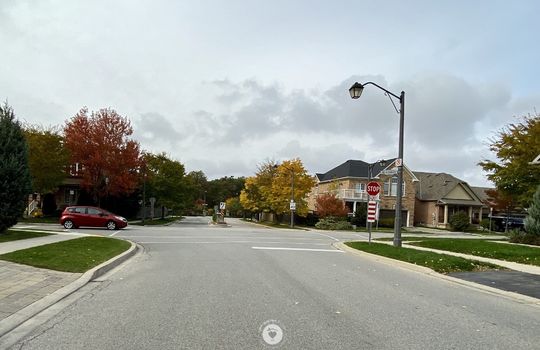 OrchardBurlingtonOntariocopyright2019JenWarren07