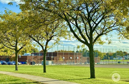 PalmerBurlingtonOntario-copyright-JenWarren02