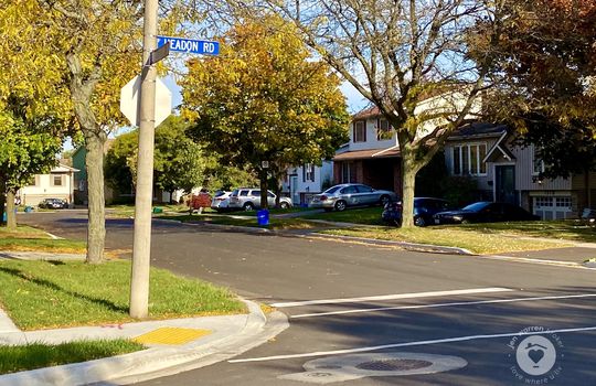 PalmerBurlingtonOntario-copyright-JenWarren03