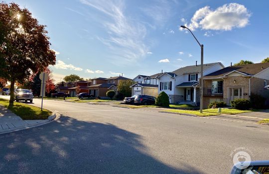 PalmerBurlingtonOntario-copyright-JenWarren09