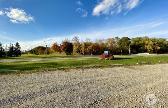 PalmerBurlingtonOntario-copyright-JenWarren12