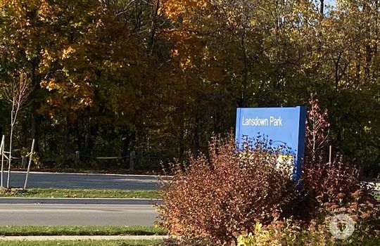 PalmerBurlingtonOntario-copyright-JenWarren13