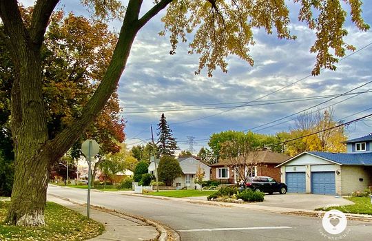 PlainsBurlingtonOntario-copyright-JenWarren04