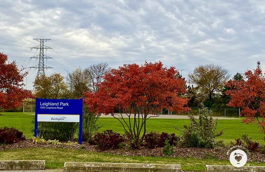 PlainsBurlingtonOntario-copyright-JenWarren05