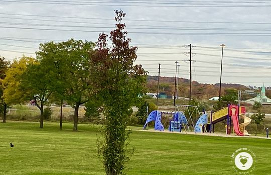 PlainsBurlingtonOntario-copyright-JenWarren06