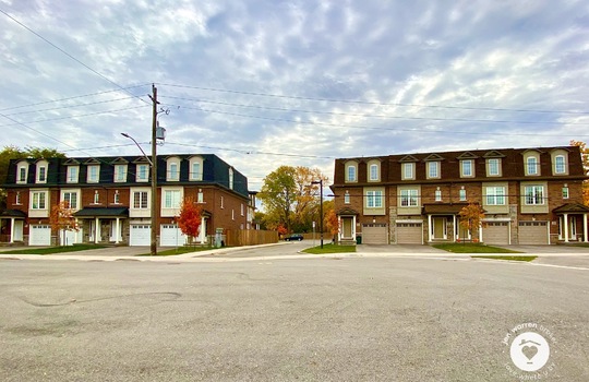 PlainsBurlingtonOntario-copyright-JenWarren08