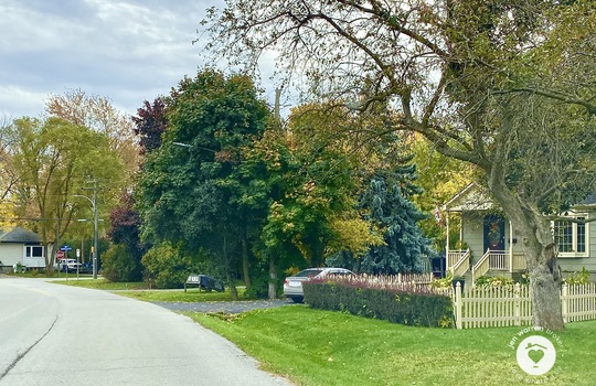 PlainsBurlingtonOntario-copyright-JenWarren09