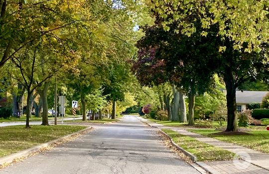RoselandBurlingtonOntario-copyright-JenWarren04