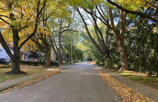 RoselandBurlingtonOntariocopyright2019JenWarren01