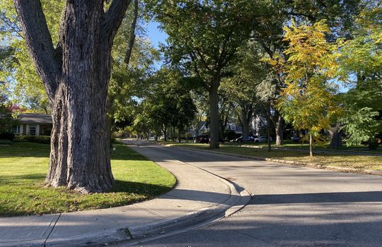 RoselandBurlingtonOntariocopyright2019JenWarren03